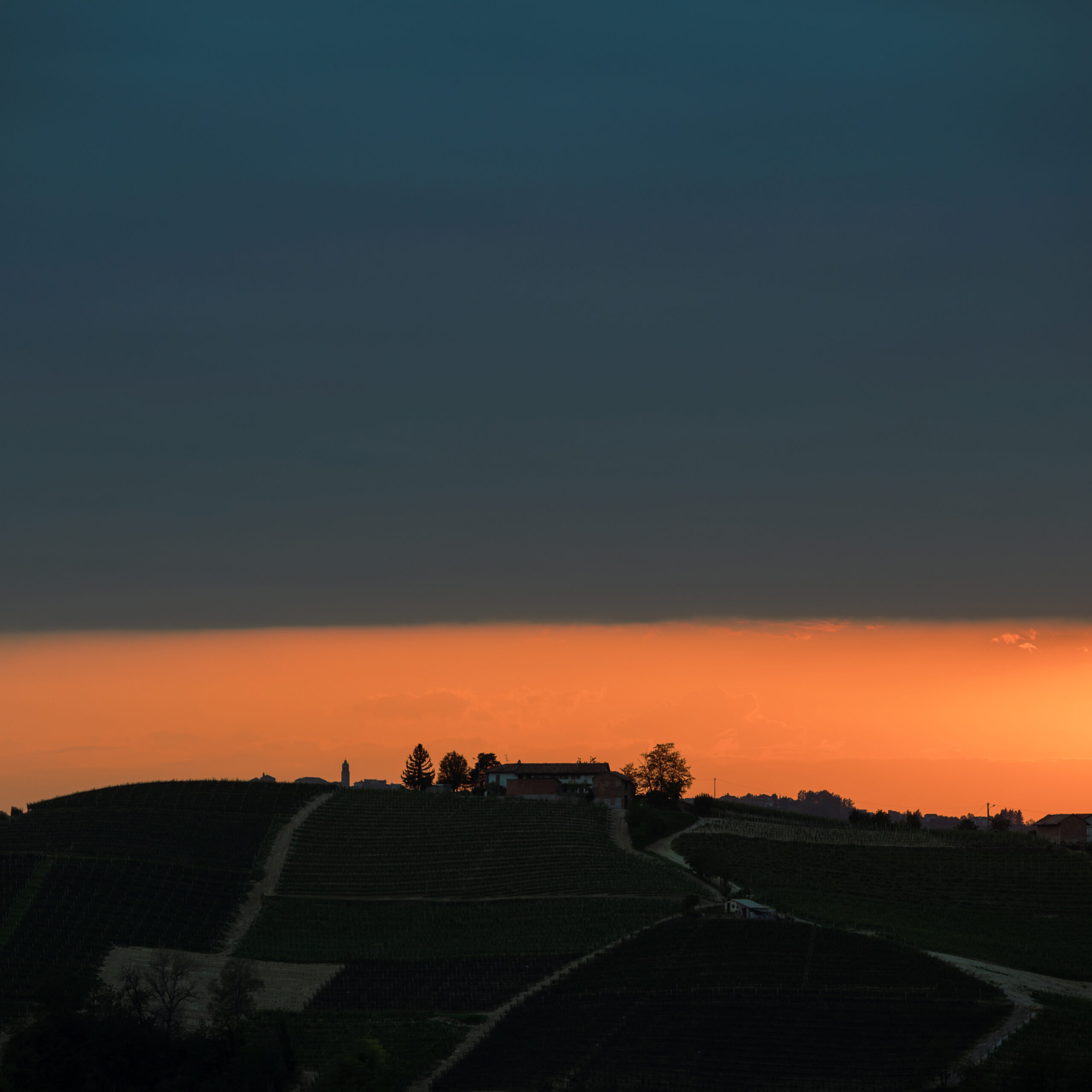 azienda caviola piemonte montelupo