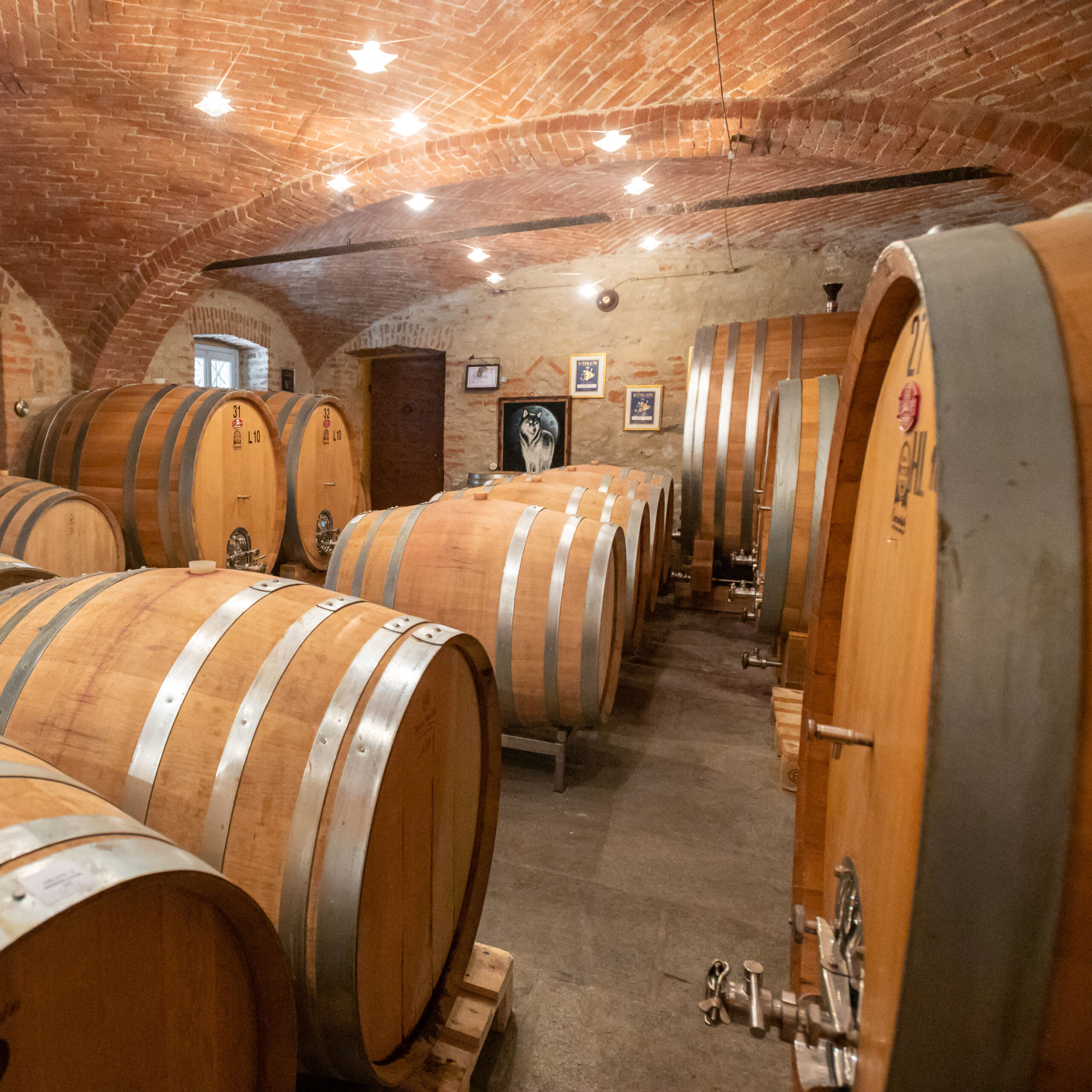 caviola cantina botti fermentazione