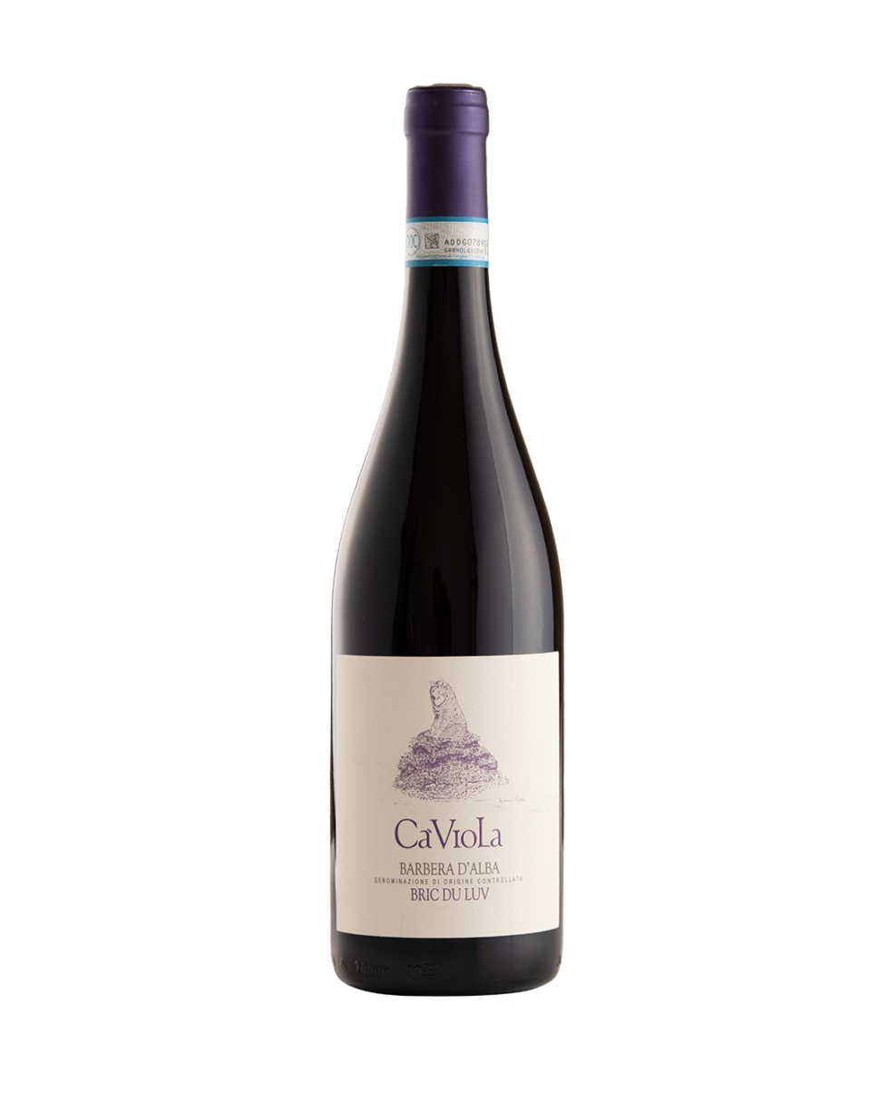 Barbera D Alba DOC Ca Viola Barbera D Alba DOC Ca Viola